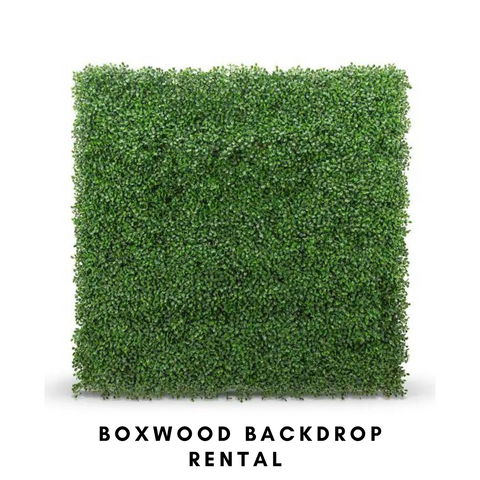 Boxwood Grass Wall Rental