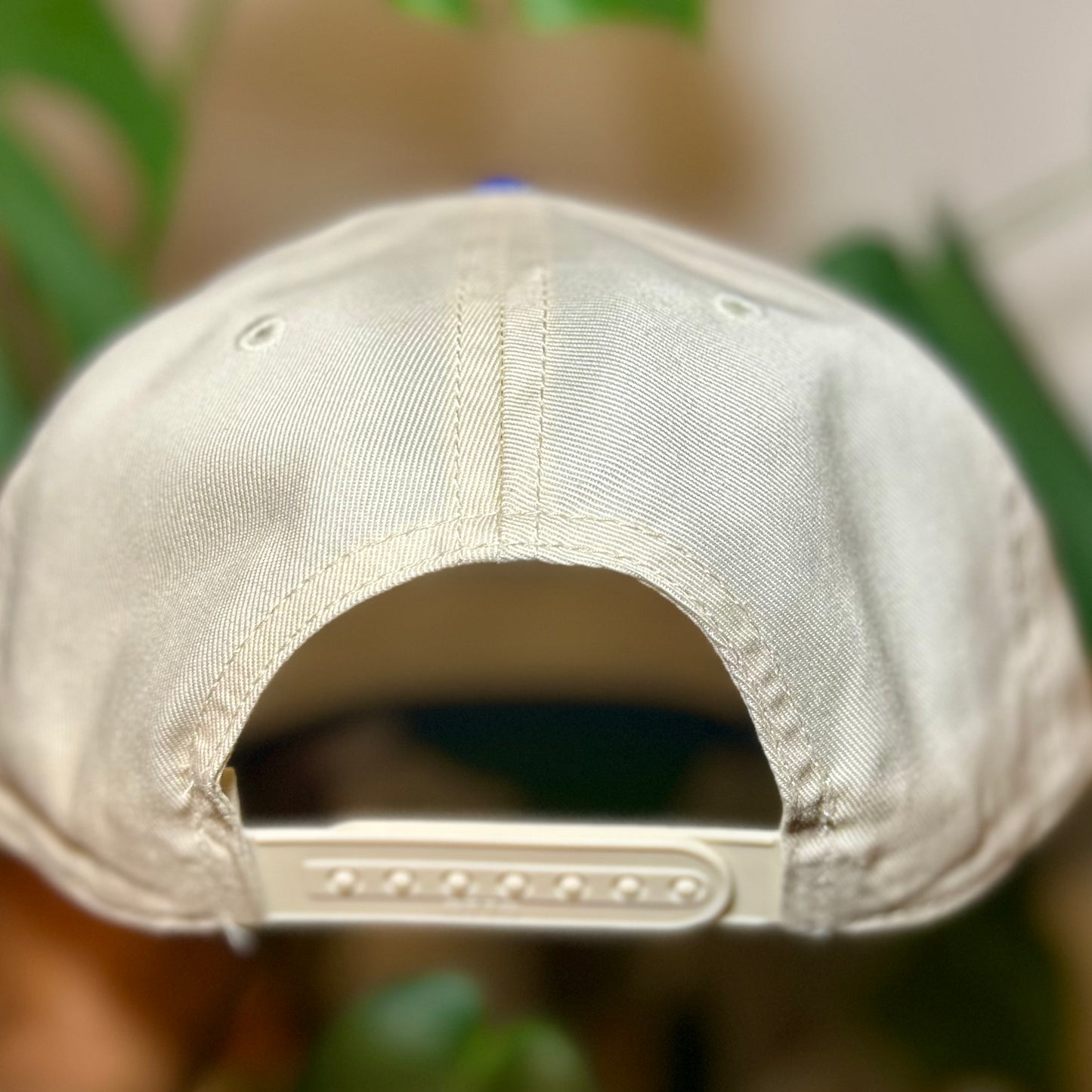 Upside Down Gators Snapback