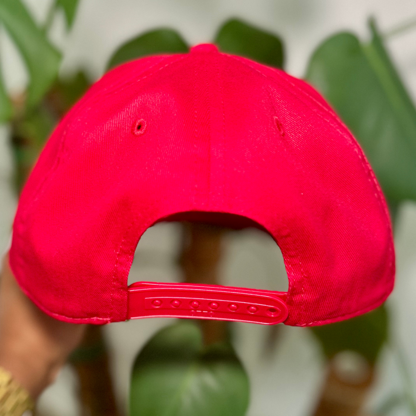 Upside Down Dawgs Snapback